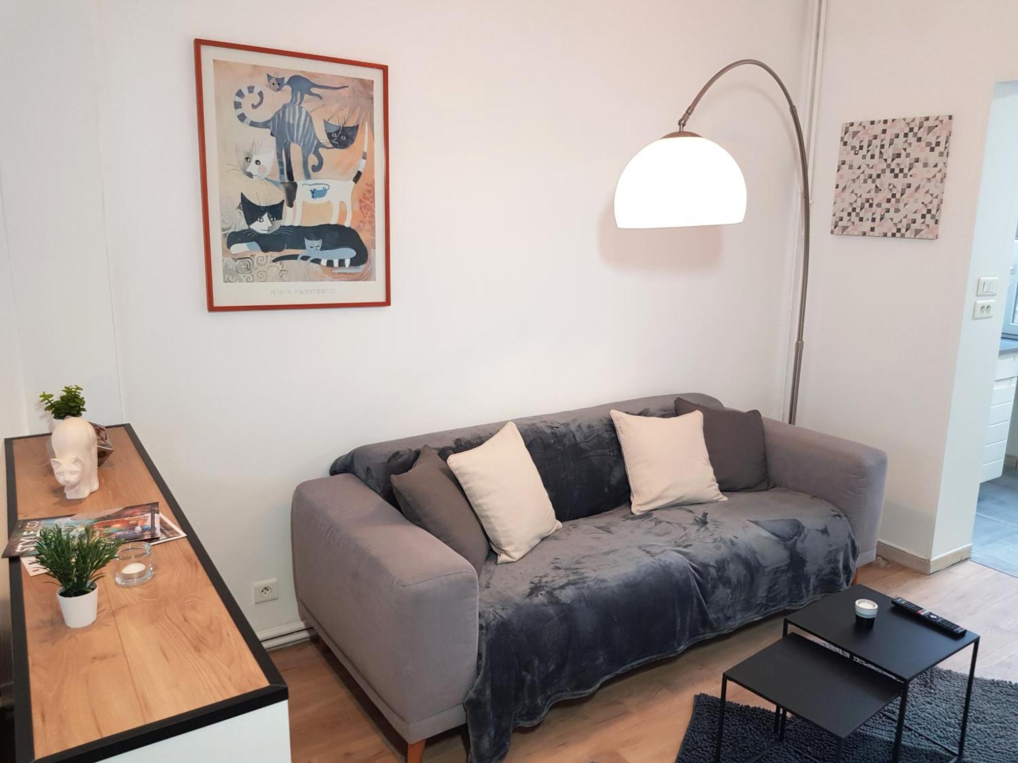 Le Chat D'Or - 35M2 - Terrasse - Bbq - Wifi Hd Amiens Bagian luar foto